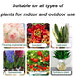 [Anbefalt av Plantefagfolk] Aktiveringsvæske for Planter og Blomster