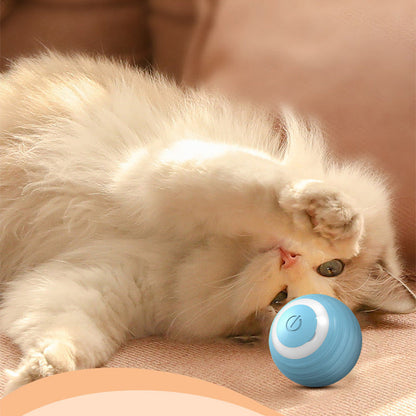 Interactive Cat Toy Ball for Indoor Play